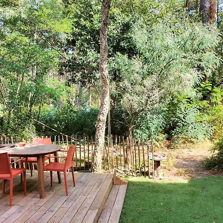 Hossegor - Lac - Foret - Couple - Piscine Soorts-Hossegor Exterior foto